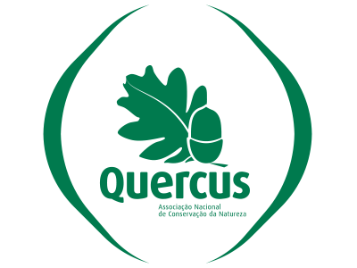 Quercus